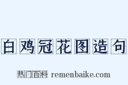 白鸡冠花图造句是什么意思的图片